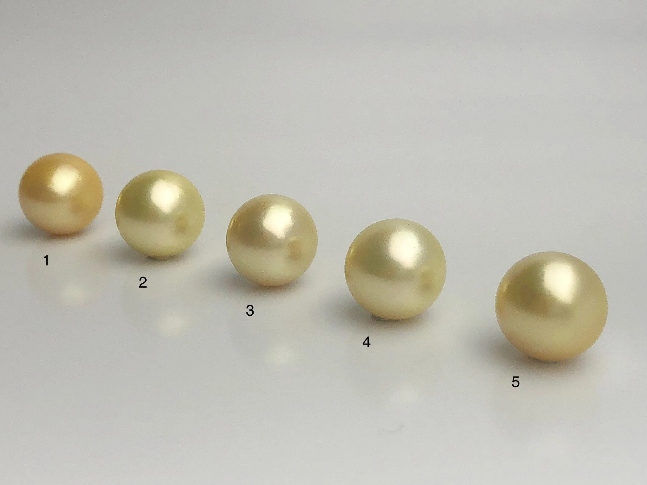 16mm - Golden South Sea Loose Pearls - Round - AA - 50% Percent Off Special, South Sea (#575 No. 1-5)
