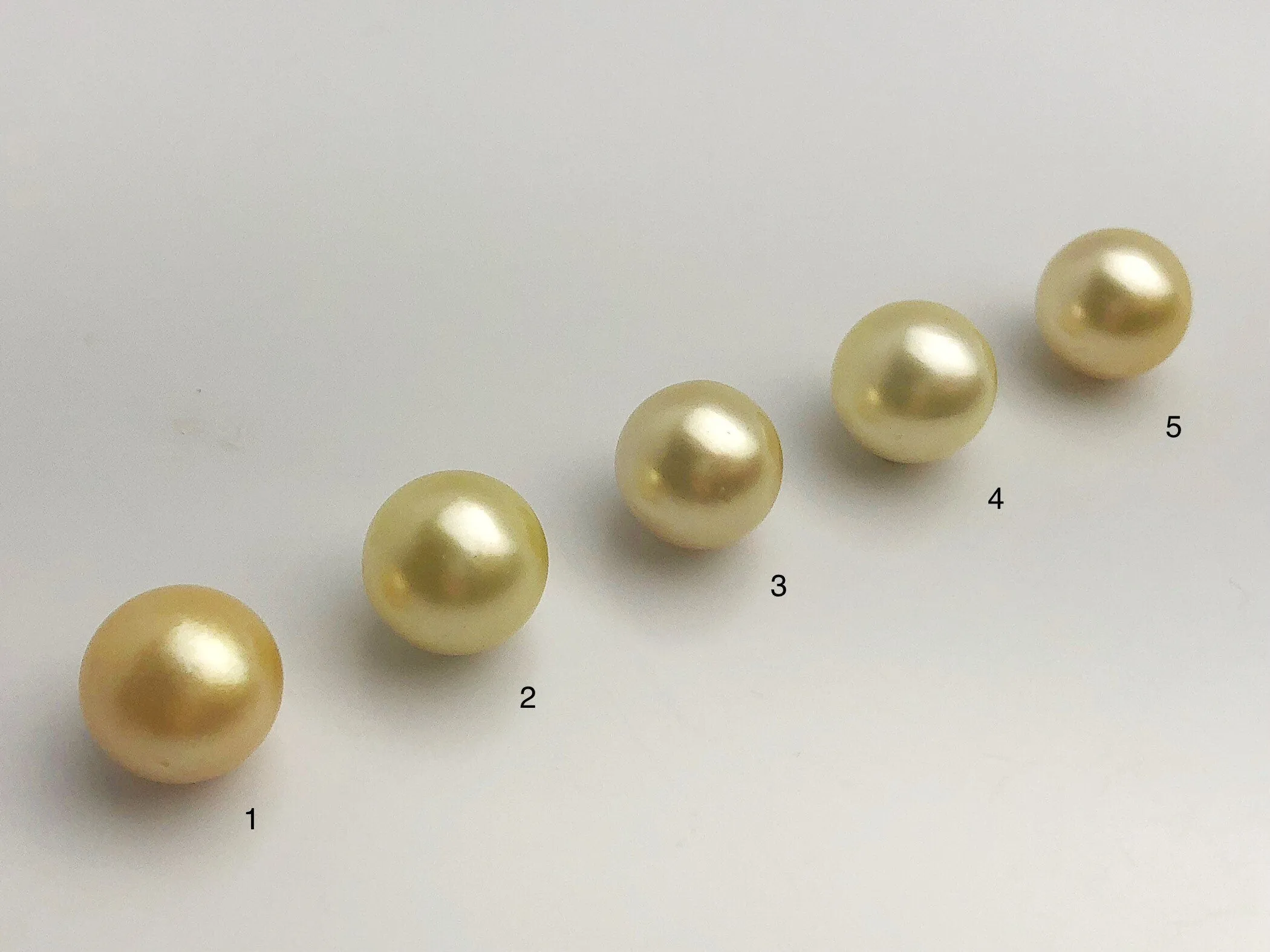 16mm - Golden South Sea Loose Pearls - Round - AA - 50% Percent Off Special, South Sea (#575 No. 1-5)