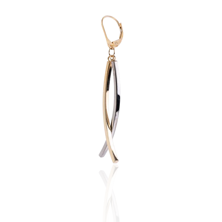 2-Tone Gold Dangling Earrings