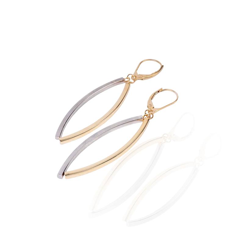2-Tone Gold Dangling Earrings