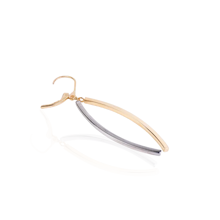 2-Tone Gold Dangling Earrings