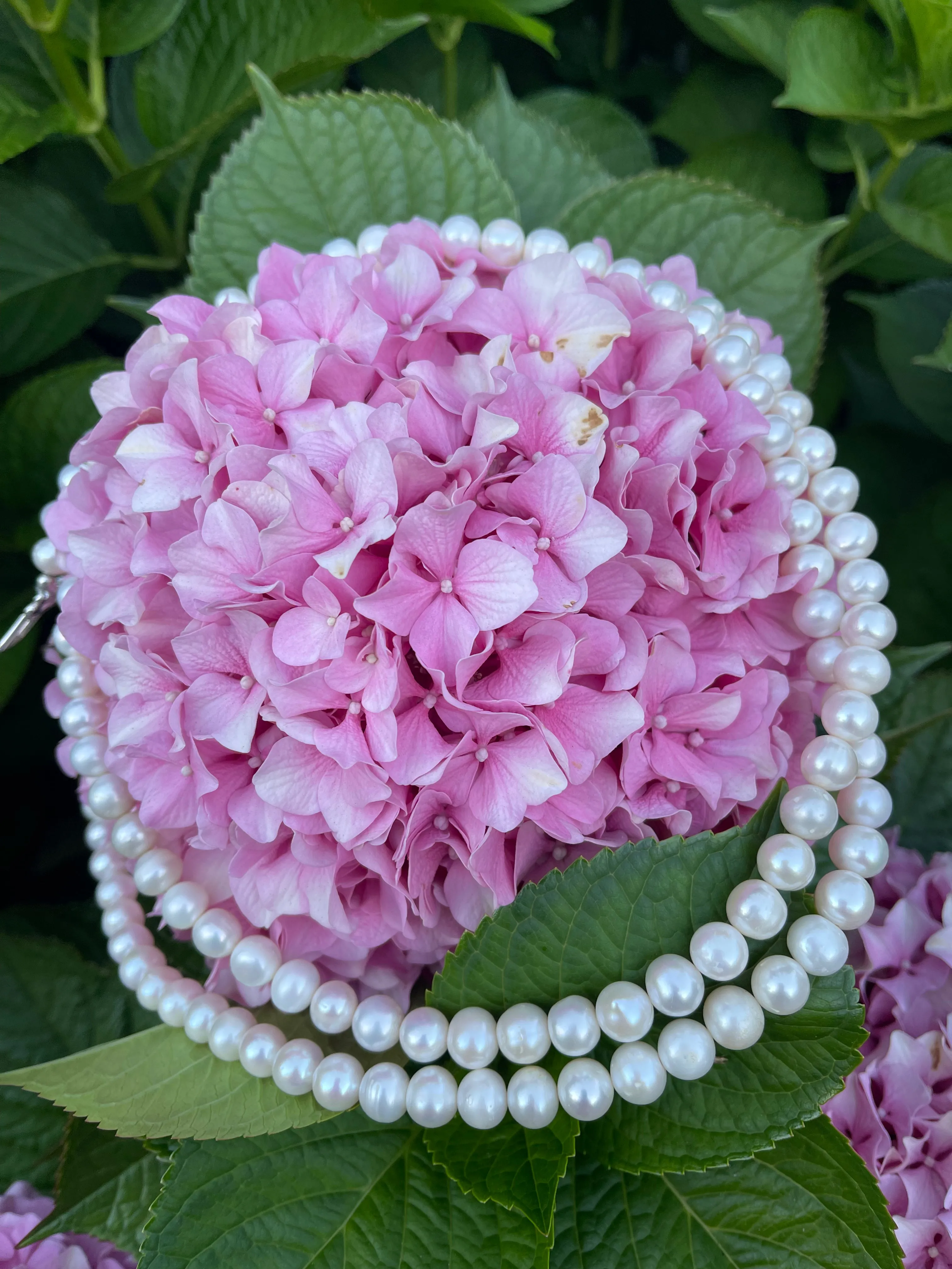 Amrapali Pearl Necklace