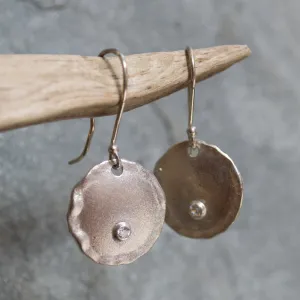 Brushed Silver Disc Zircon Earrings - Emotions.