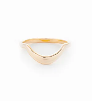 Calligraphic Curve Band