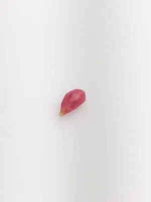 Conch Pearl Loose 10mm x 4.8mm No. 15