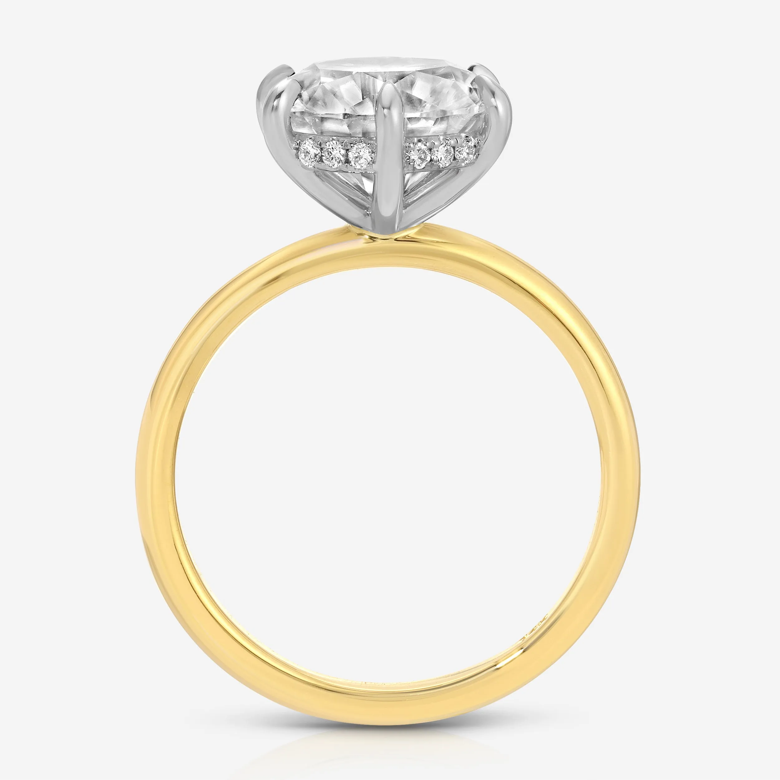 Danielle (3.5ct) Round Moissanite  Ring ( ) Hidden Halo