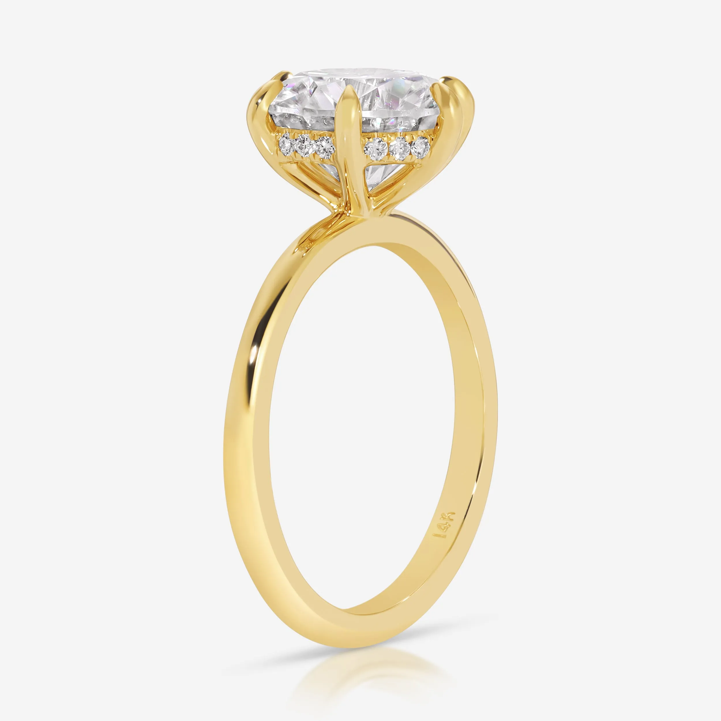 Danielle (3.5ct) Round Moissanite  Ring ( ) Hidden Halo