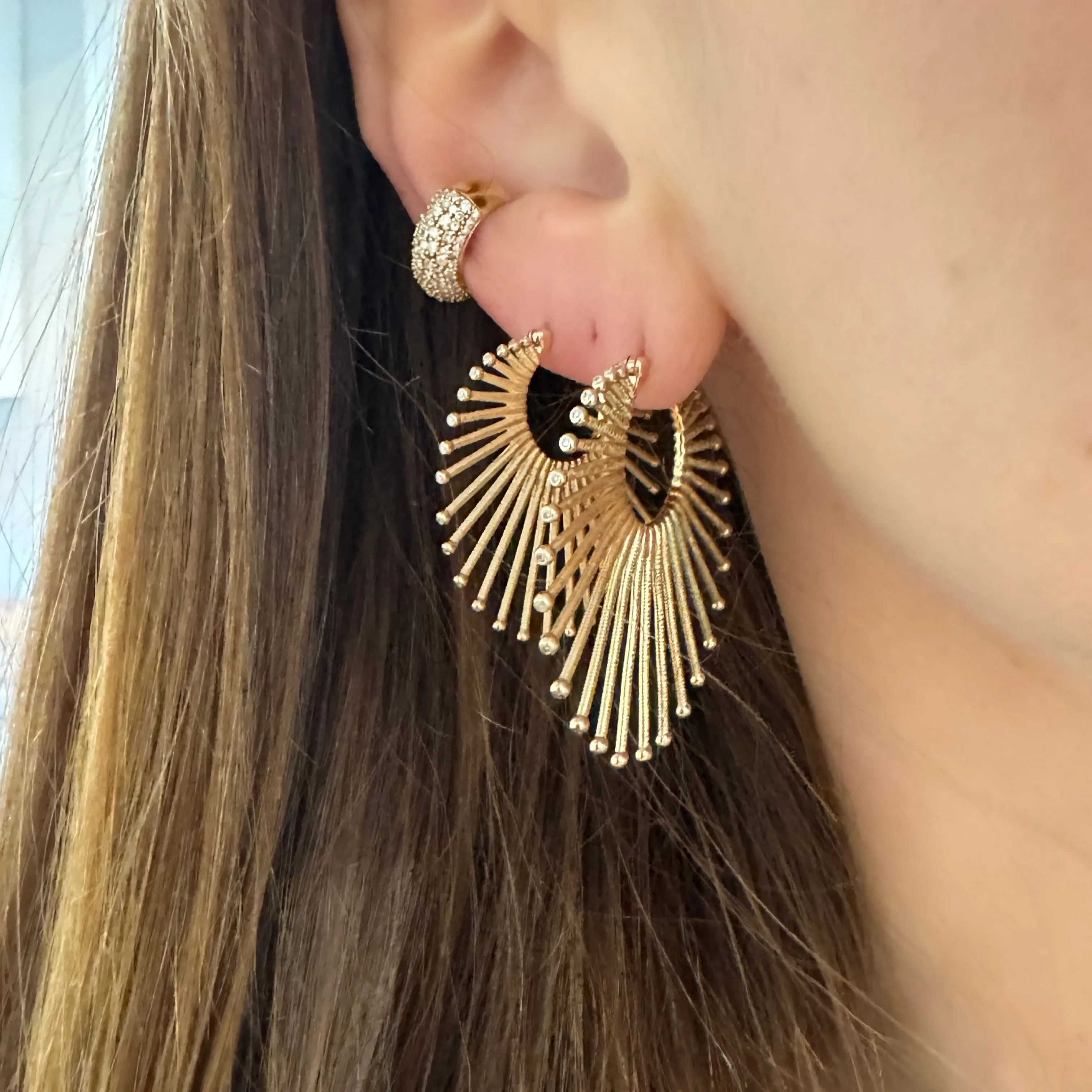 Flora & Fauna Roar Lion Hoop Earrings