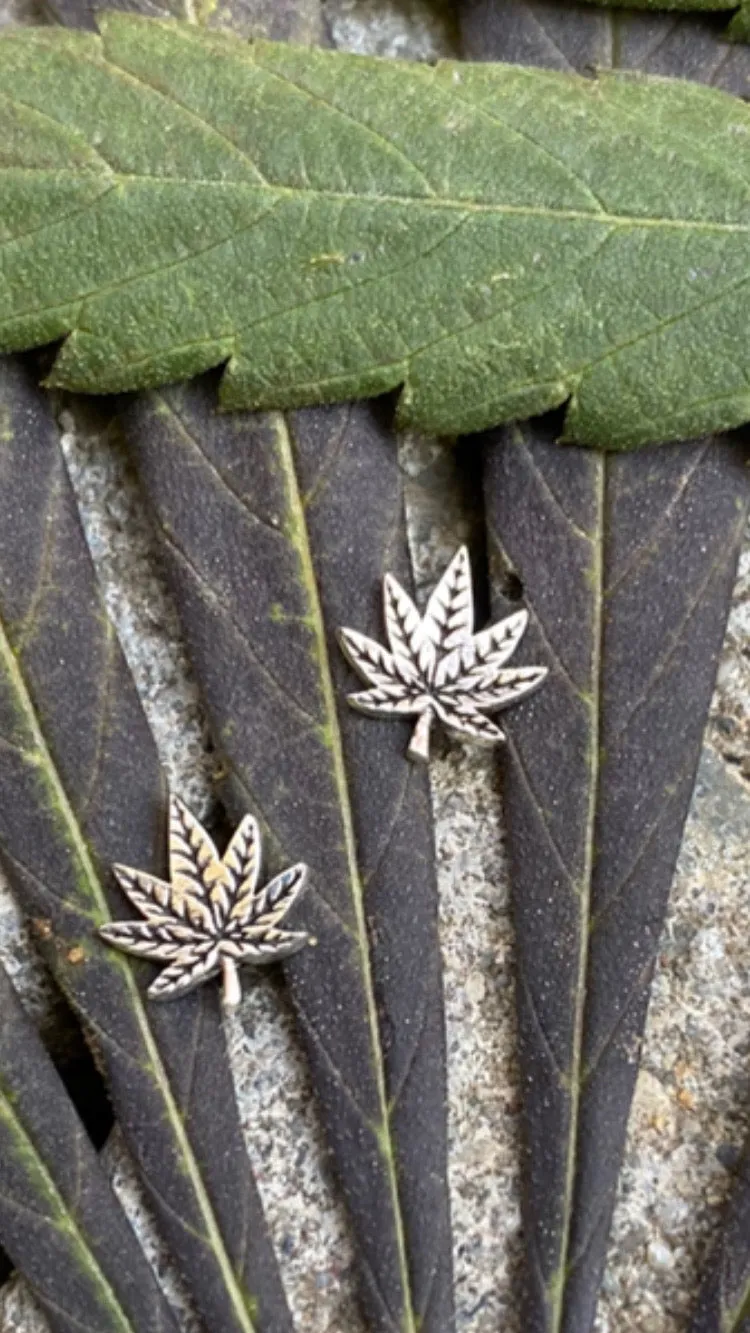 Mini™️ Elevated Earrings