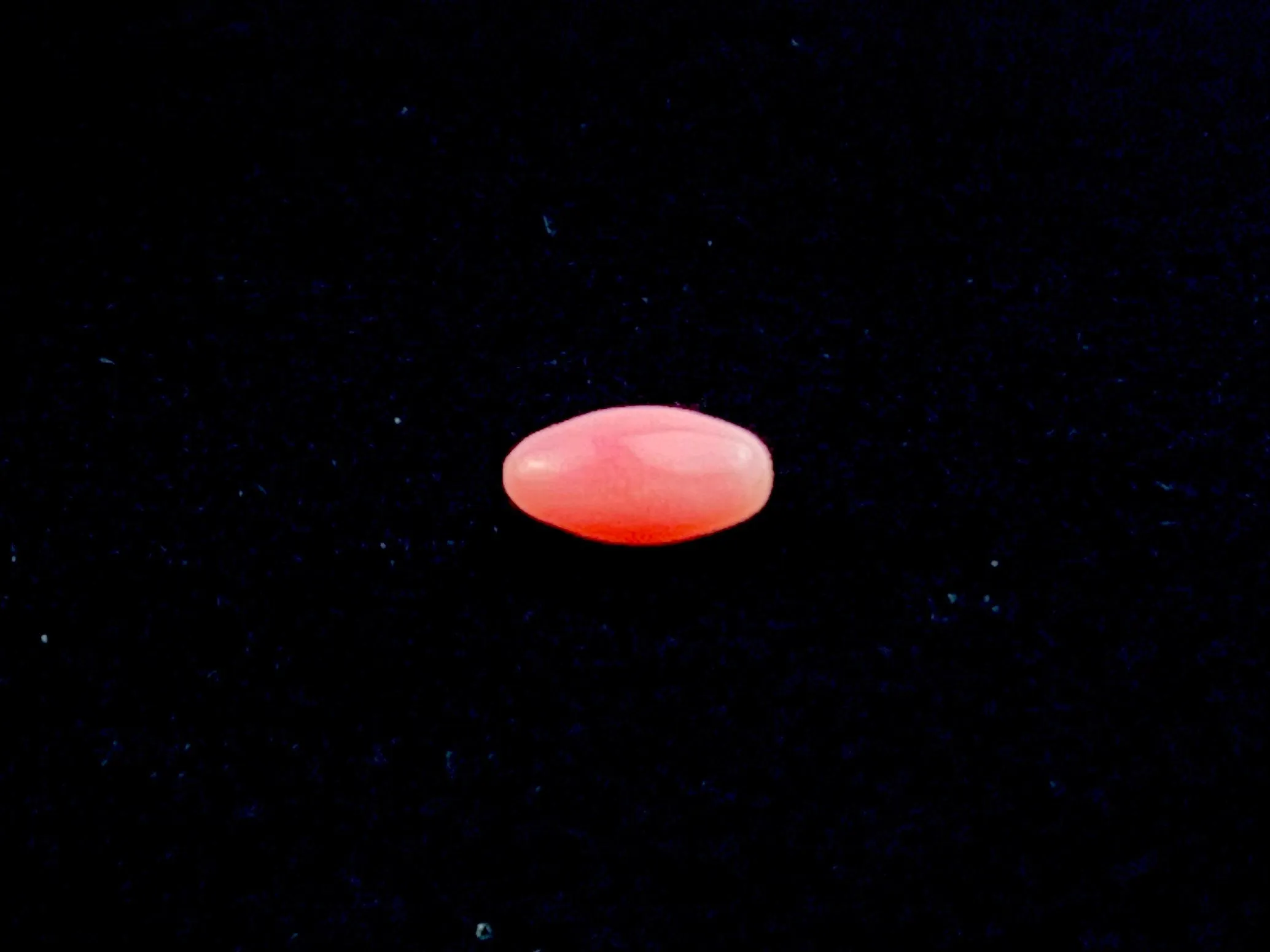 Natural Conch Loose Pearl 0.71ct No.61