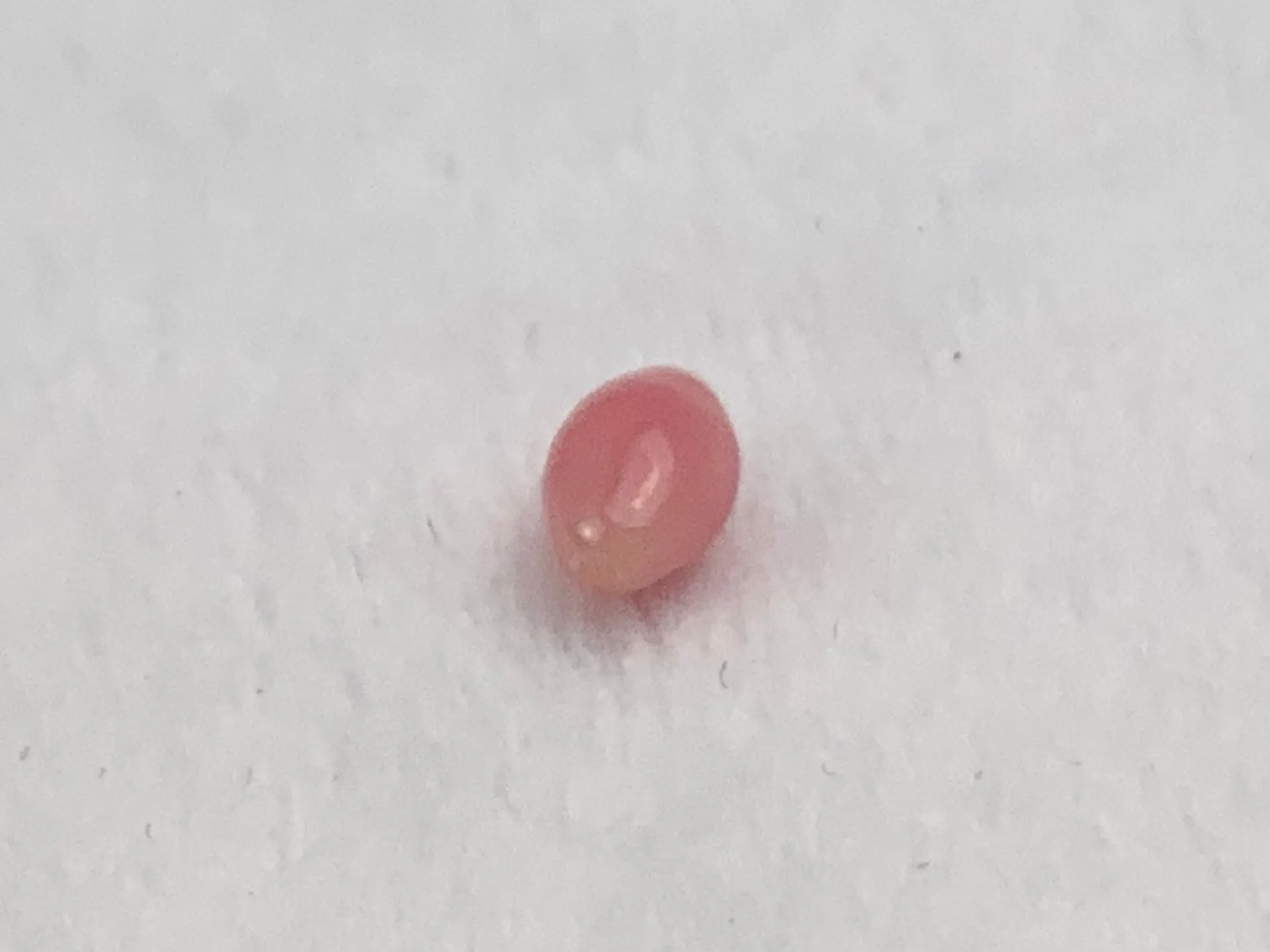 Natural Conch Loose Pearl 0.71ct No.61