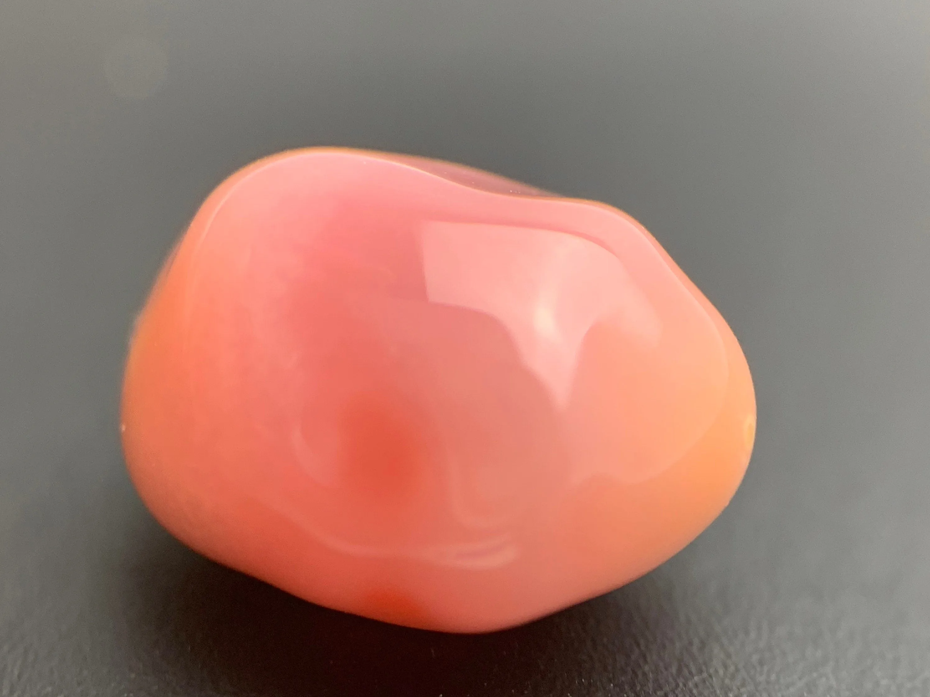 Natural Conch Loose Pearl 5.67ct #31