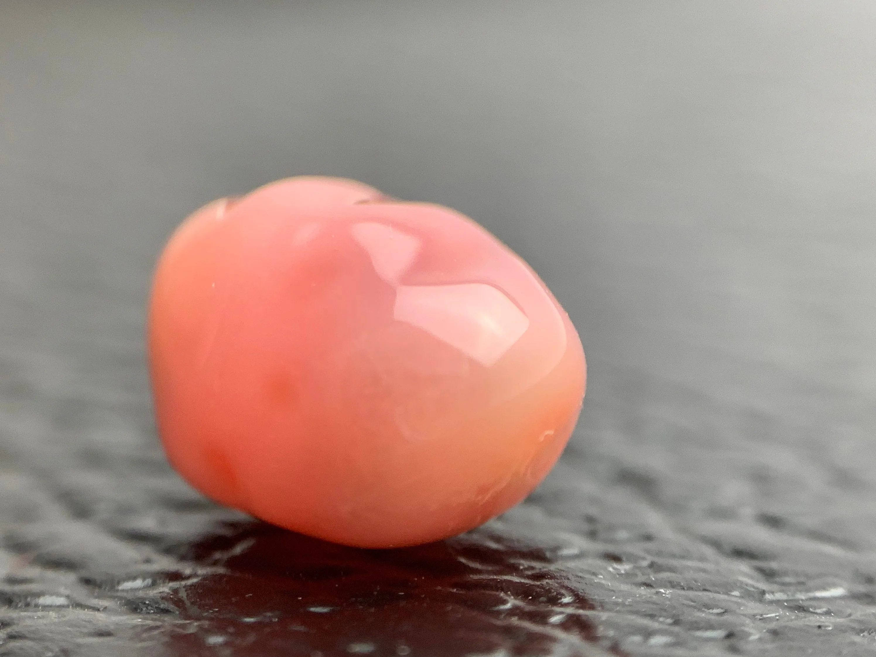 Natural Conch Loose Pearl 5.67ct #31