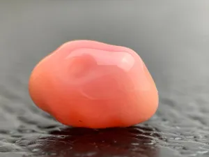 Natural Conch Loose Pearl 5.67ct #31