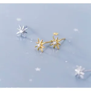 Small Star Stud Earrings - ECZ007