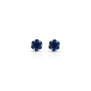 Stylish Silver Earrings with Blue Stone